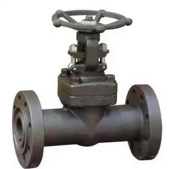 API 602 Forged steel globe valve,Forged Steel Globe Valve,