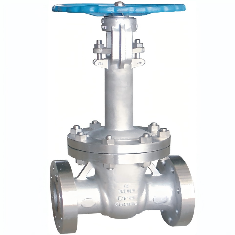 API 603 Corrosion resistant gate valve,gate valve