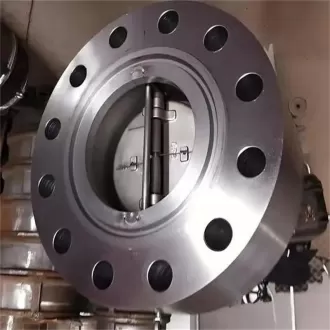 API 594 Dual plate check valve