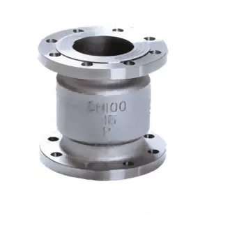 Stainless steel vertical check valve