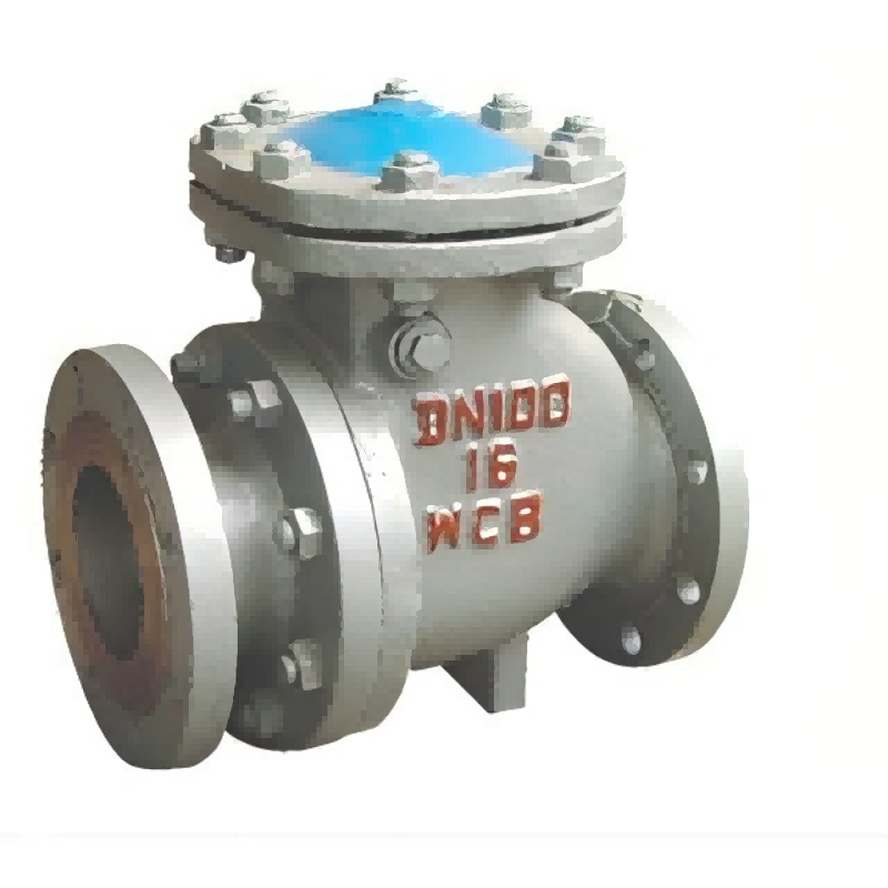 Slag discharge check valve
