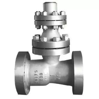 H48Y empty discharge check valve;empty discharge check valve