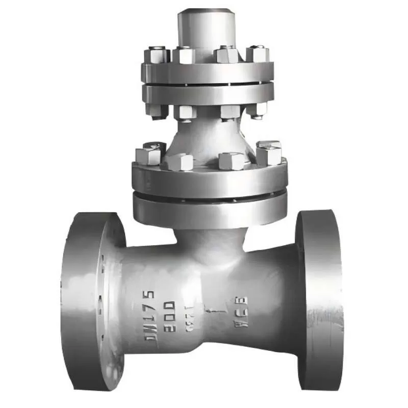 H48Y empty discharge check valve;empty discharge check valve