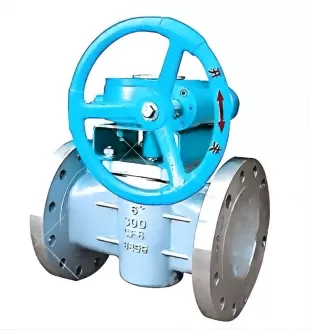 Worm wheel type plug valve, plug valve