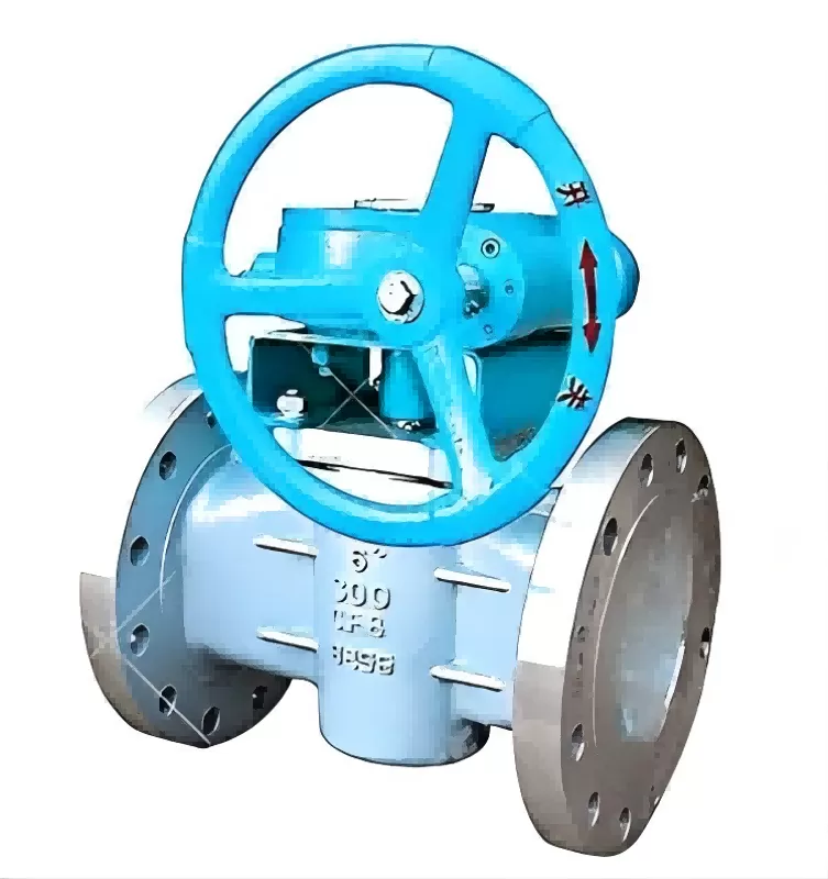 Worm wheel type plug valve, plug valve