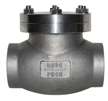 Low Temperature Check Valve,Check Valve
