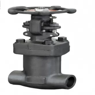 Forged Steel Bellows Globe Valve