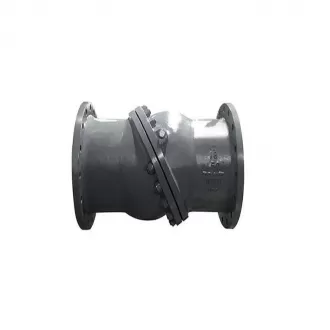 Swash plate check valve, check valve