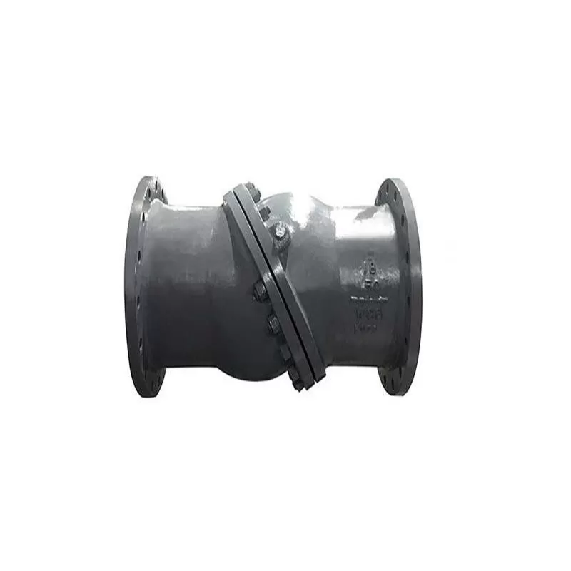 Swash plate check valve, check valve