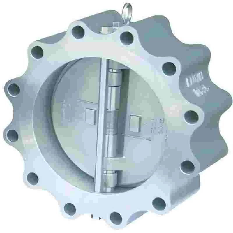Support lug check valve, check valve