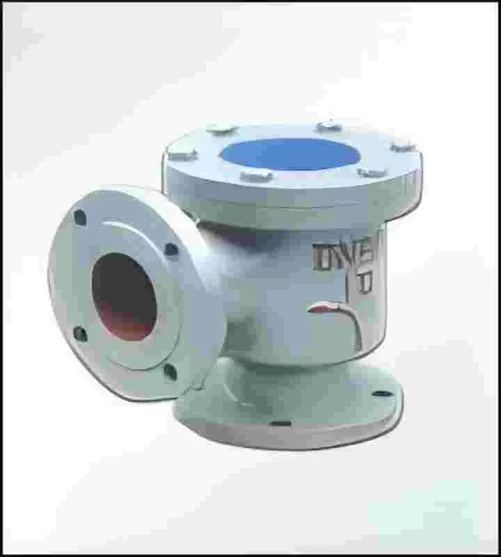 Angle check valve, check valve