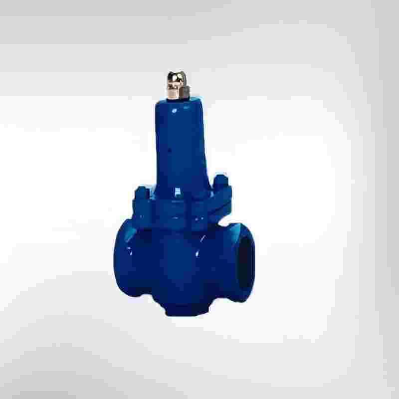 Y110 Y116X pressure reducing and stabilizing valves,pressure reducing and stabilizing valves
