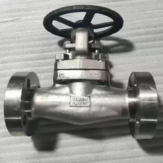 Hastelloy Globe Valves, Hastelloy Valve,Globe Valve