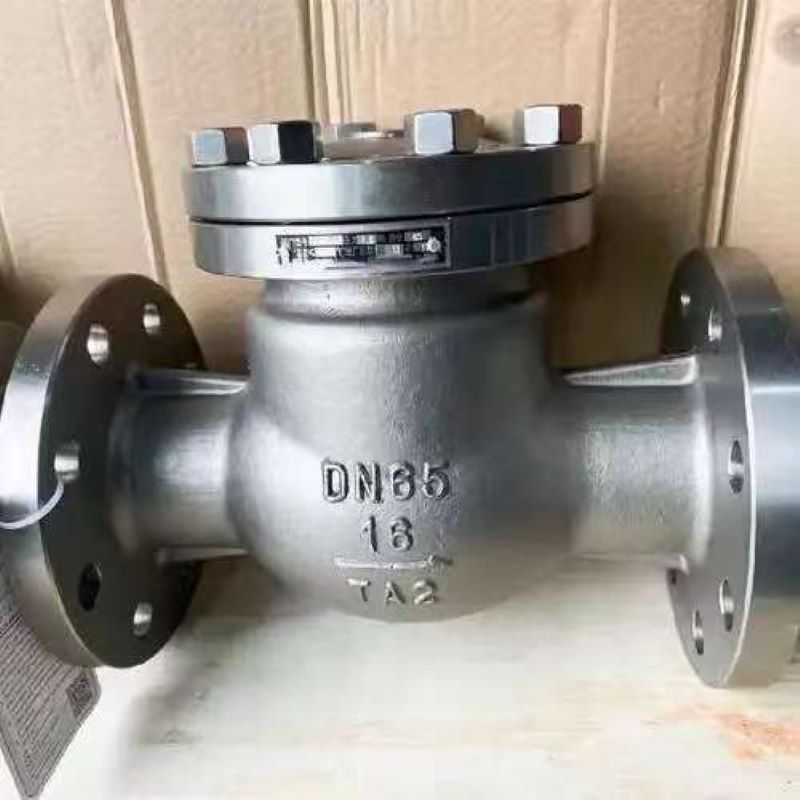Swing titanium check valve, Swing check valve, Titanium check valve
