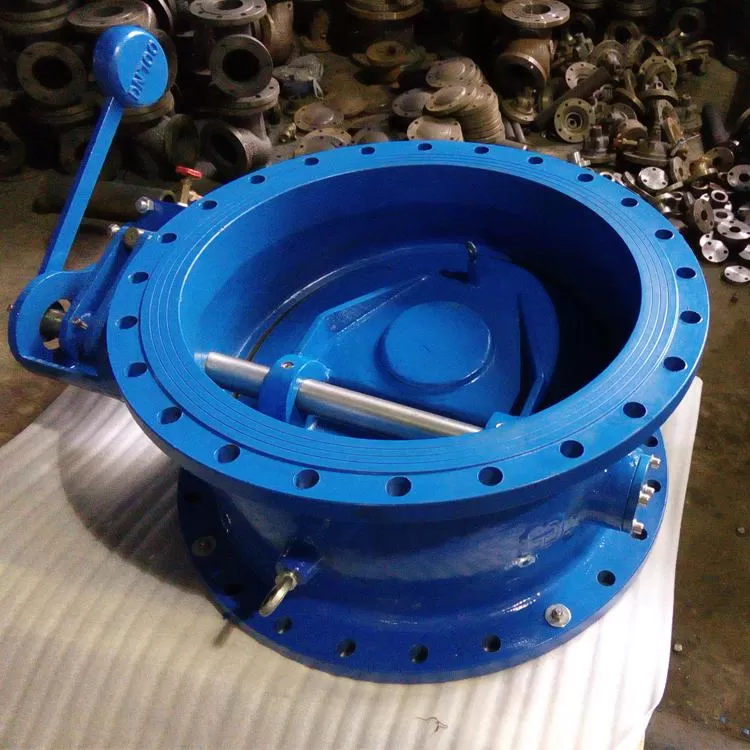 Butterfly buffer check valve, check valve
