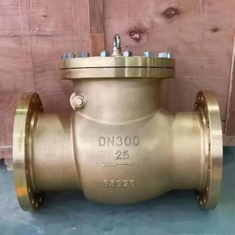 Nickel-aluminum bronze check valve,  Special material check valve, check valve